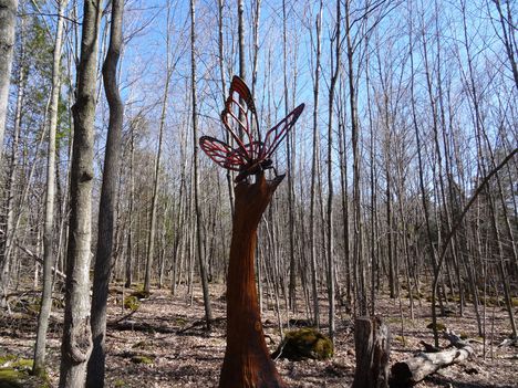 Canada, Ontario, Crawford Lake 2015.április 18.-án
