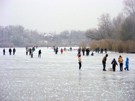 Cibakházi-Holt-Tisza 2009 január