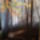 Dsc03676_1510919_8246_t