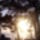 Fazana2016_1510240_2620_t