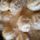 Hussal_toltott_gomboc_1510194_7833_t