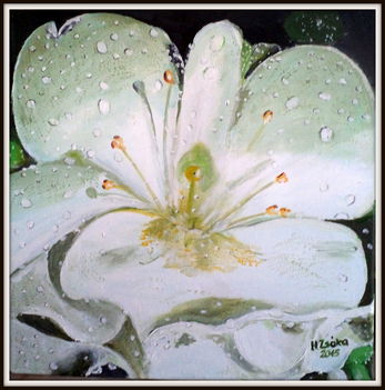 Liliom 40x40 cm canvas akvarell