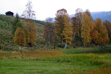 Őszi képek