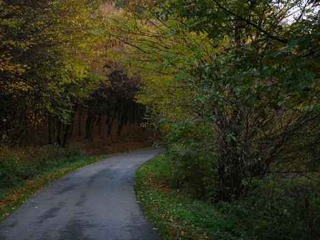 Őszi képek