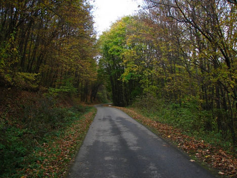 Őszi képek