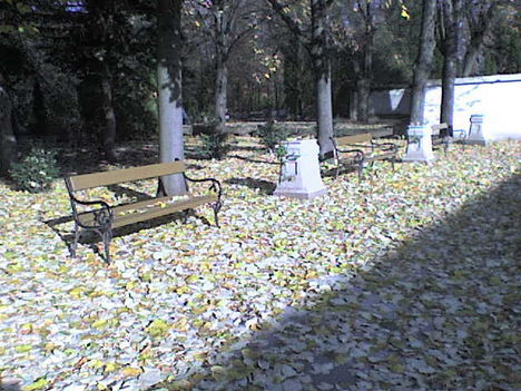 őszi képrek