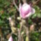 P1020731