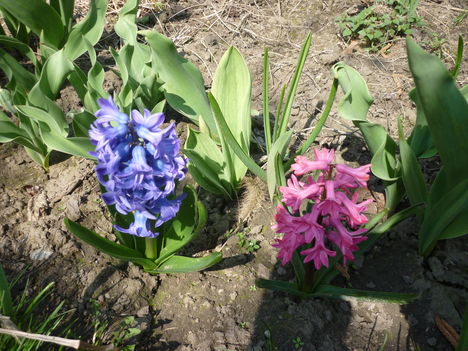 P1020736