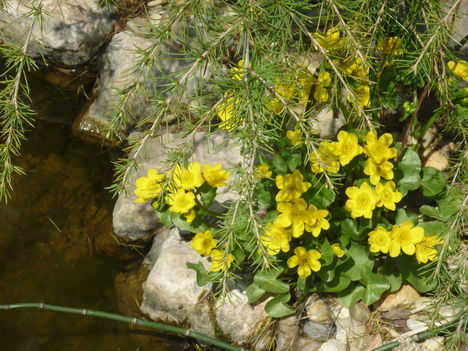 P1020750