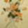 Rozsas_p_1510497_4178_t
