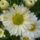 S6301392_151989_25176_t