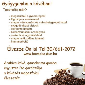 üzlet 10