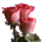 virág