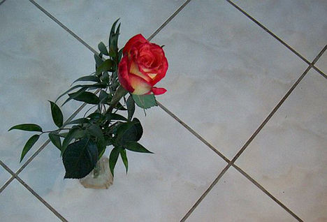 virág