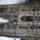 Cathedral_of_st_michael_and_st_gudula_1521050_5853_t