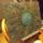 Tores_1521105_9362_t