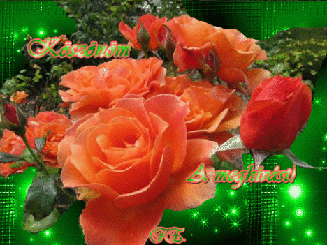 5194610_cd5aa
