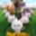 A_mogyoromelo_2_1522657_7565_t