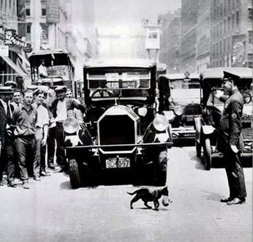 "Cat-walk"