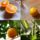 Narancs_sajat_termes_1522814_6153_t