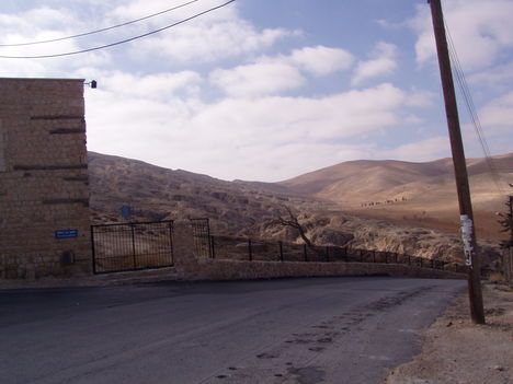 P1010003