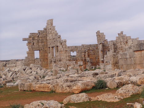 P1010007
