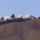 P1015133_1522992_3932_t