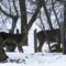 Szarvasok_1522630_1369_s