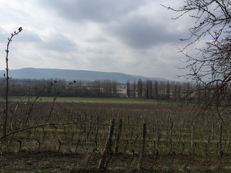 Szigliget-Balaton