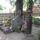 Tamasi_aron_sirja_1522395_1392_t