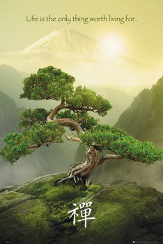Zen