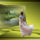 Figyel_1525891_1405_t