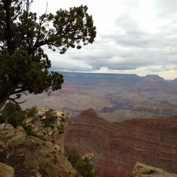 Grand Canyon 11