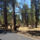 Grand_canyon_utban_egy_oz_csalad_17_1526623_4576_t