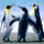 Pingvinek_1526951_4564_t