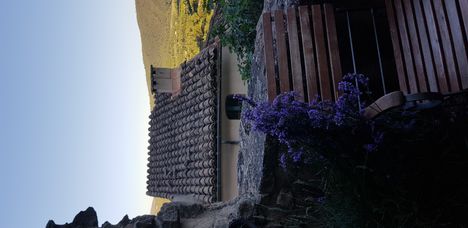 View from our balcony with levander (Lacoste)
