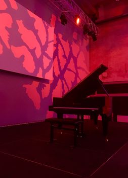Jeunesse Art -music pgrm( Mozart Liszt Brahms Chopin) Wien