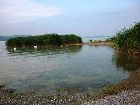 Laguna a Balatonon