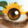 Moni_a_carvalho_az_emberi_test_es_a_termeszet_harmoniaja_1527388_2168_t