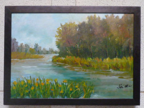 Vízpart.Karton-olaj 50x35.