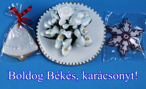 Mézes karácsonyfa, két dísz 8
