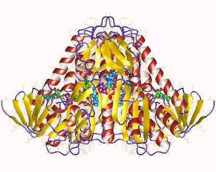 Dihidrolipoamid DH