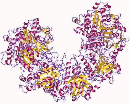 DNA repair RAD51 1