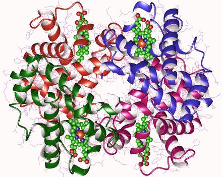 Hemoglobin-CO