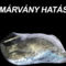 marvany-hatas-kridx
