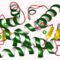 SR Ca binding protein