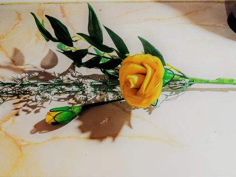 20190504_183009