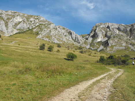 DSCF7009