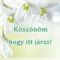 Kepeim_1531240_3597_s
