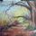 Rhododendronok_1531780_8629_t